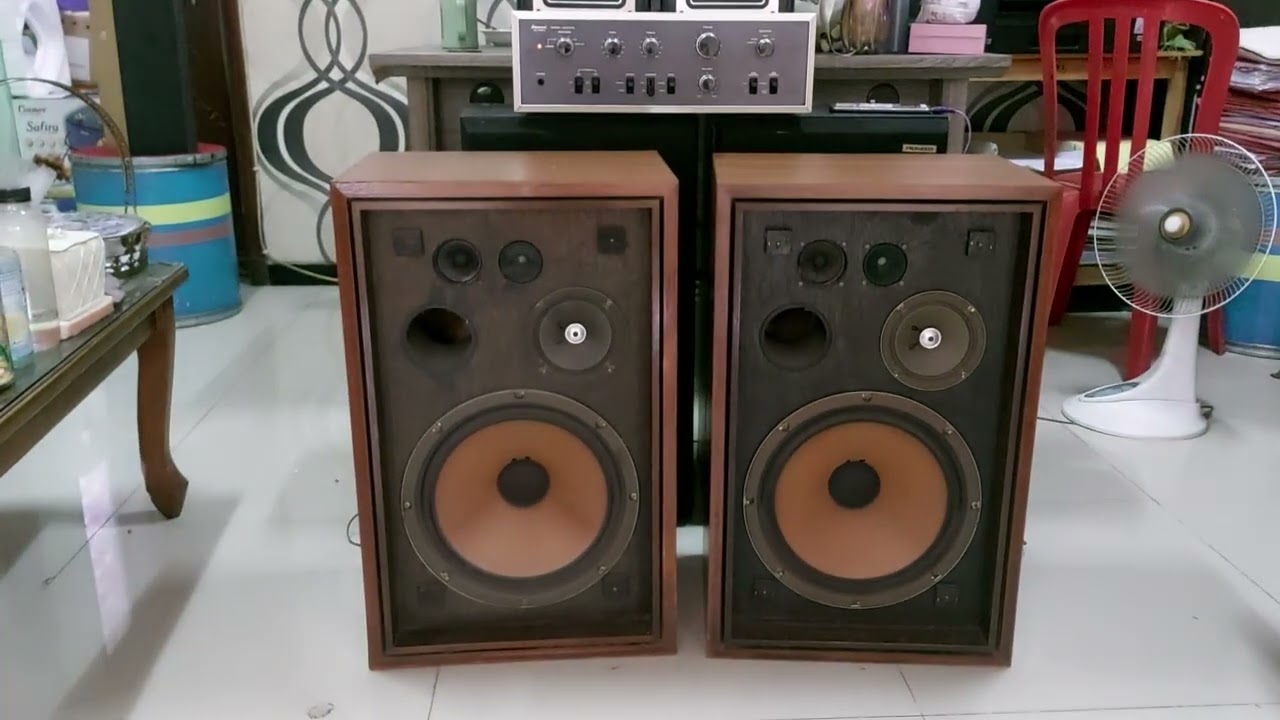 AKAI SW 155 Speaker
