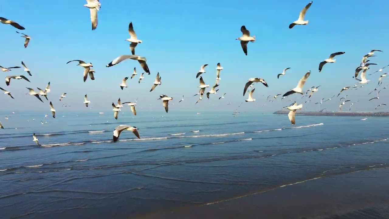 Varsoli beach alibag