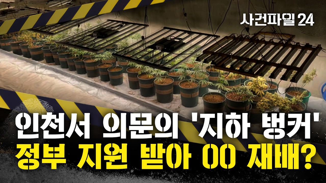 [사건파일24] 비닐하우스 밑에 '지하벙커'?···정부 보조금으로 대마 키운 '청년농부'