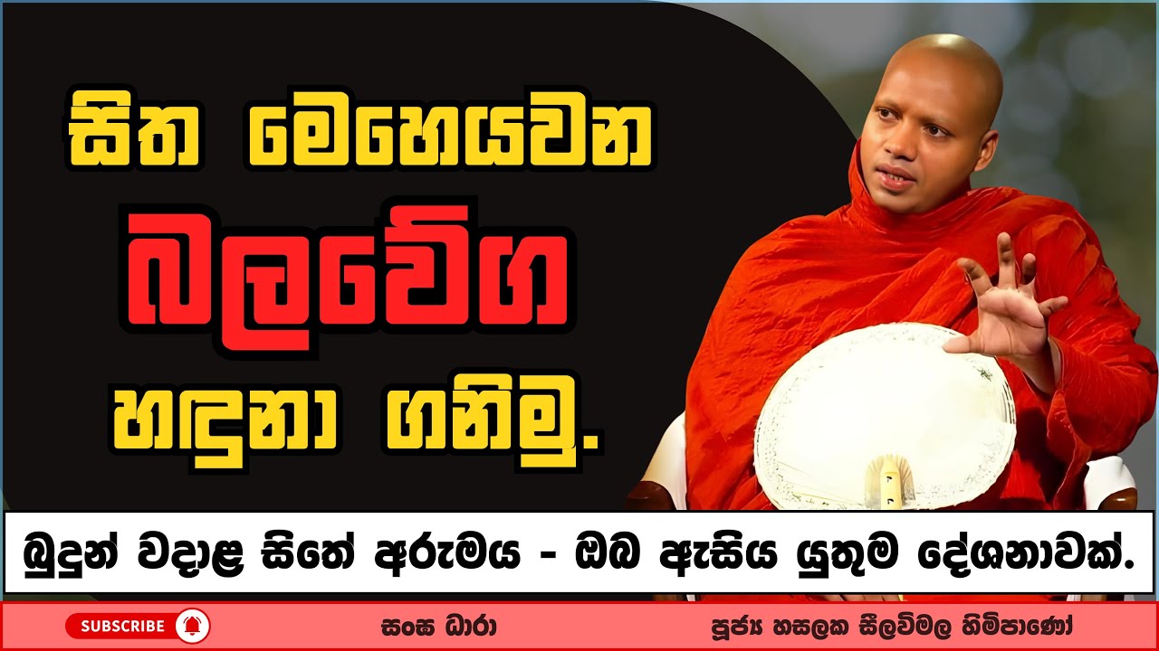 නිර්වාණයට යන එකම පාර මේකද..? | Hasalaka seelavimala thero | හසලක සීලවිමල හිමි | #බණ #ධර්මදේශනා