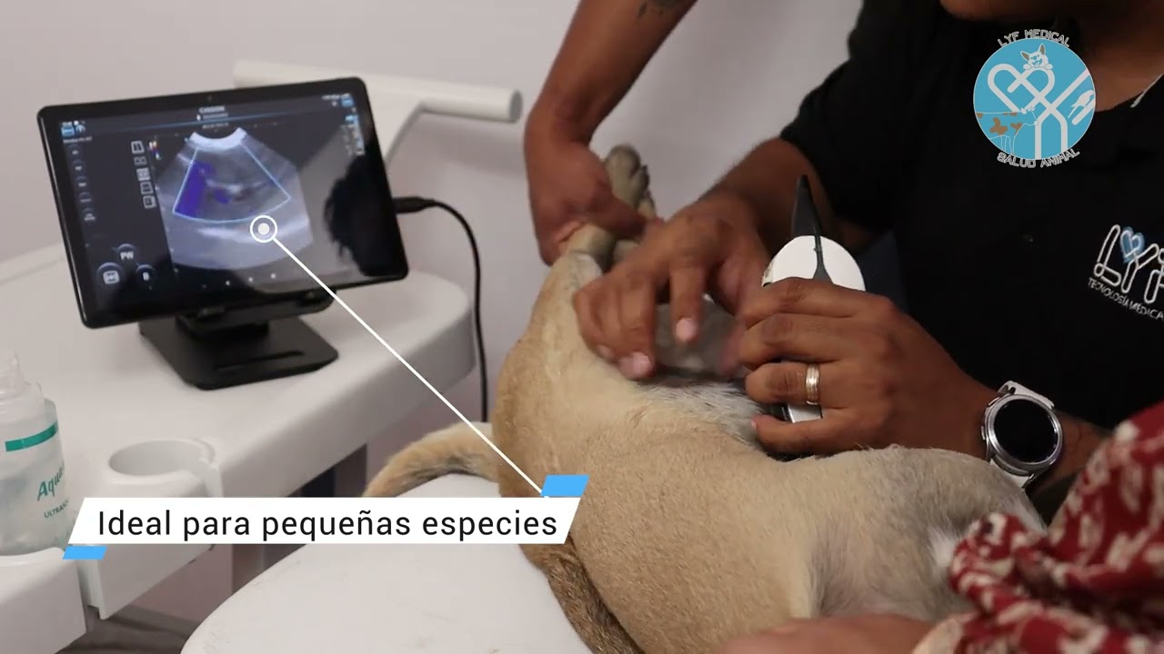 Ecógrafo veterinario portátil Chison SonoEye P6