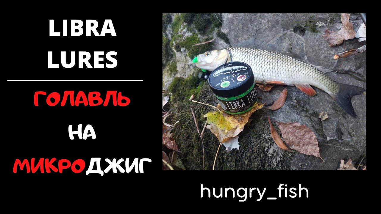 РАЗЛОВИЛ Libra Lures! Поклевка ГОЛАВЛЯ!!! #libralures #libraluresrussia #luckyjohn #fishing #голавль