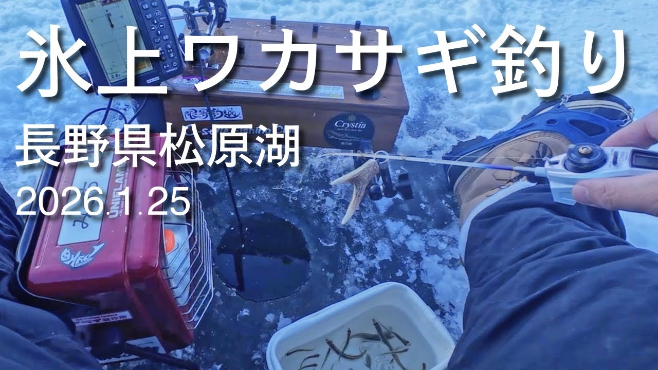 ワカサギ釣り　松原湖氷上　2026.1.25 　釣り人視点カメラあり