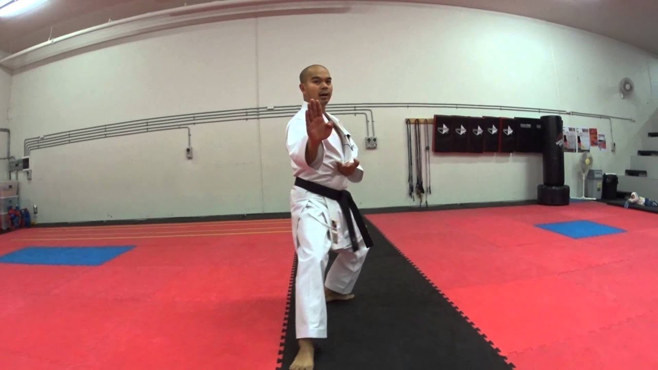 Kihon Kata #4