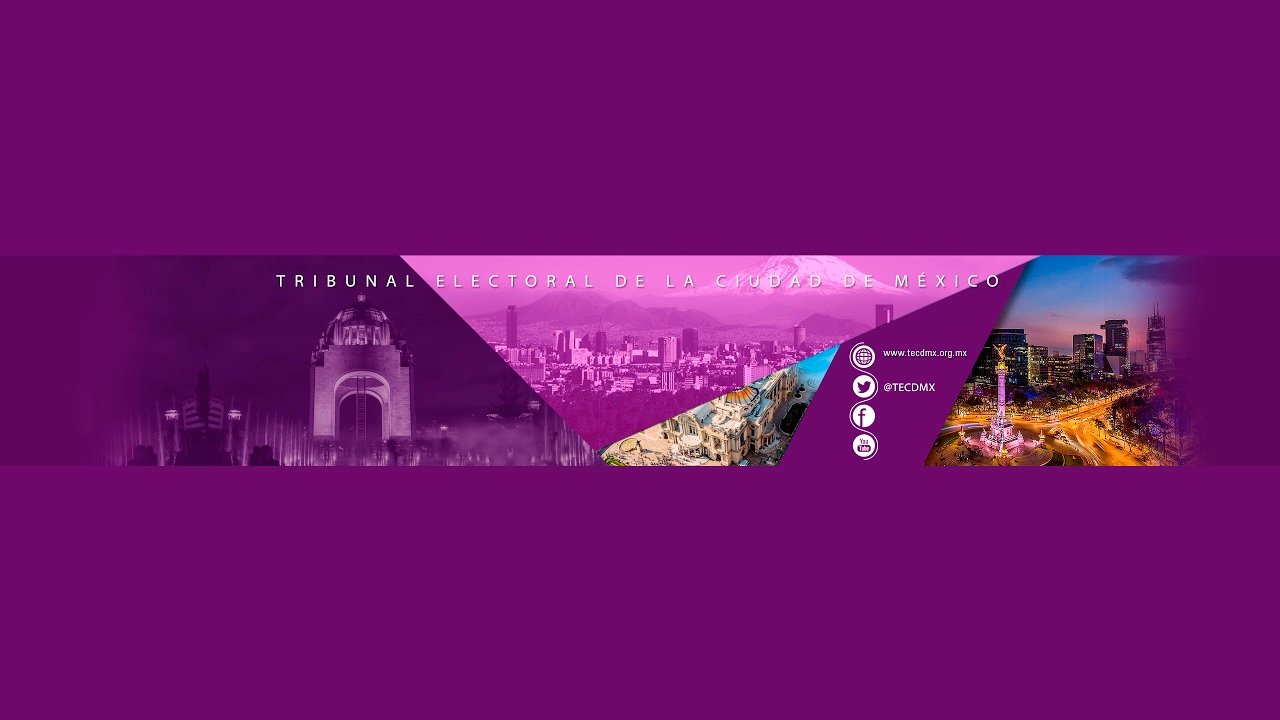 Sesión Publica TECDMX 29-01-2018
