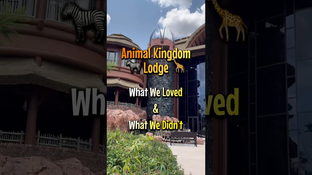 Animal Kingdom Lodge Pros and Cons #waltdisneyworld #disneyhotel