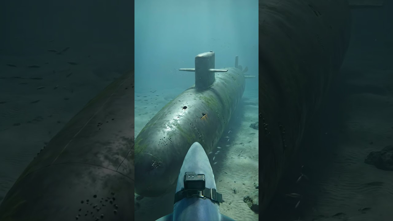 😱 We strapped a GoPro to a Shark&hellip; and it found THIS!
