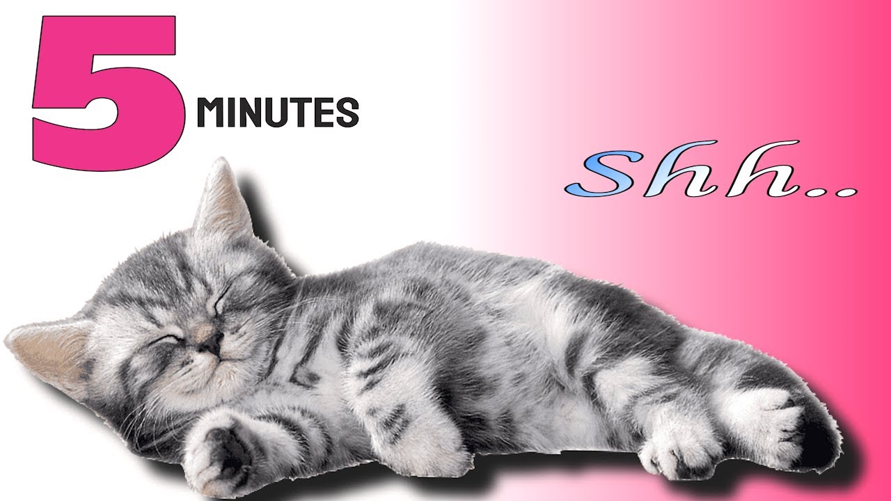 Music To Make Your Cat Sleep Within 5 Minutes | Cat Sleep Music