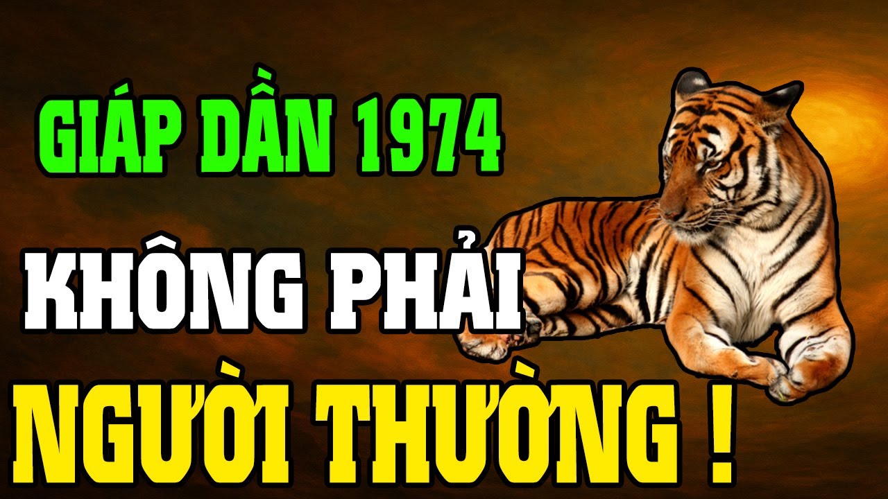 Giáp Dần 1974–Cuộc Đời Khổ Vì Có Căn Trả Nghiệp, Nhưng Hậu Vận Là Đại Phúc Nếu Hiểu Được 7 Điều Này
