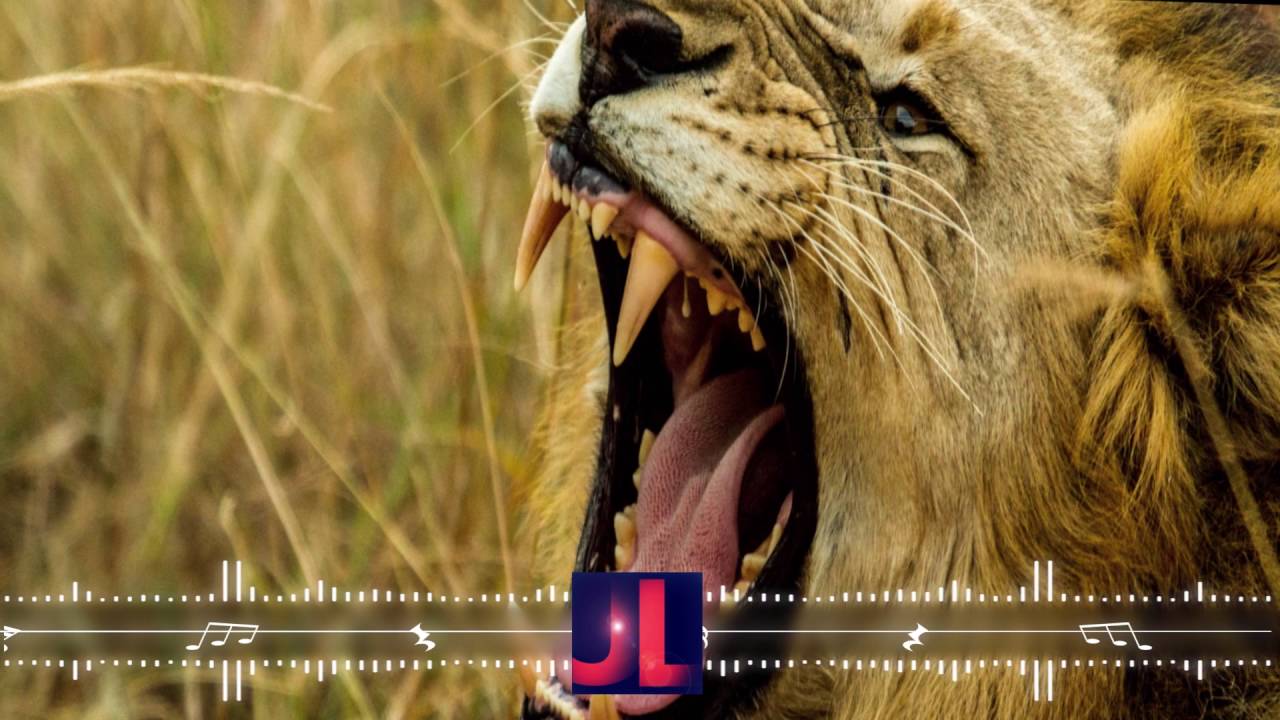 Big Room House 2016 June ►EDM & Electro House ►Vol.4 ►