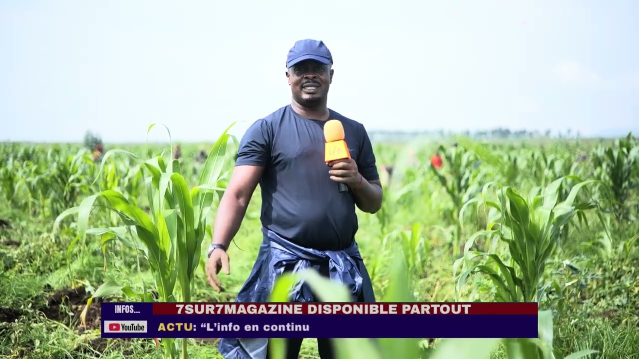 Nyiragongo : le maire adjoint de Goma AFC-M23 mise sur l’agriculture, vivez  cette grande récolte