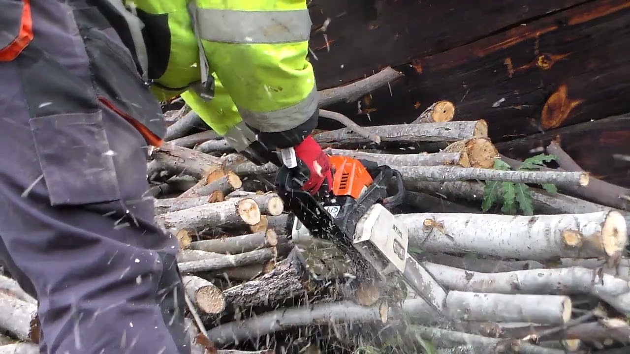 stihl ms 170 w akcji