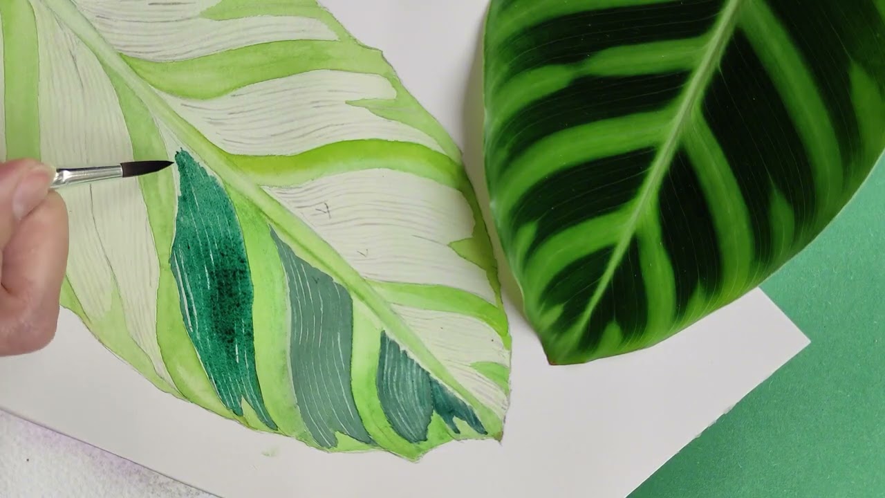 Watch me paint a delicate Galatea leaf in watercolor