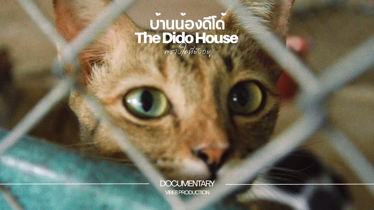 Trailer | บ้านน้องดีโด้ The Dido House :ตราบใดที่ยังอยู่