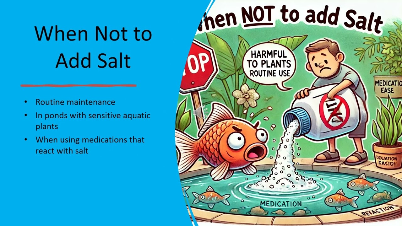 Should You Add Salt to Your Koi Pond? Benefits, Risks & Best Practices Explained!