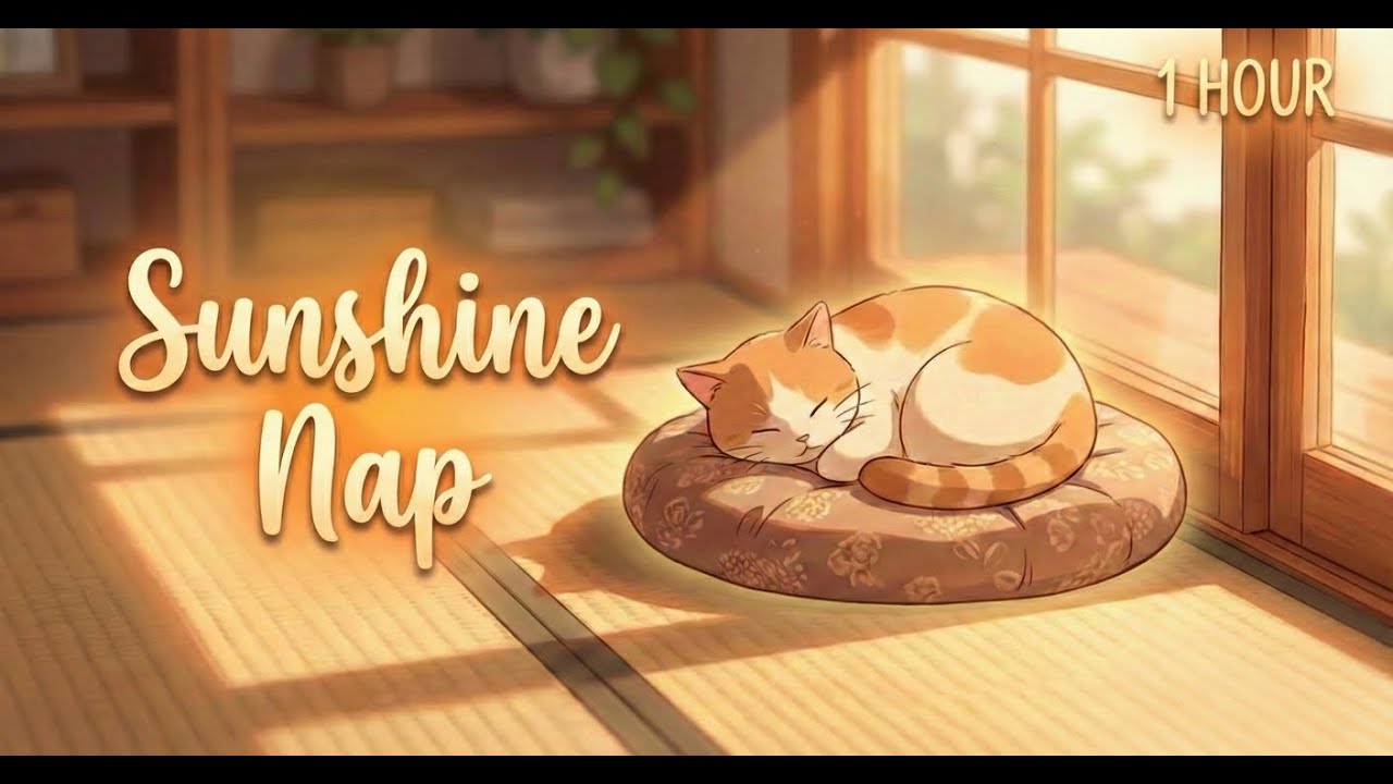Sunshine Nap - Japanese Koto & Strings | 1 Hour Warm Acoustic BGM for Relaxation