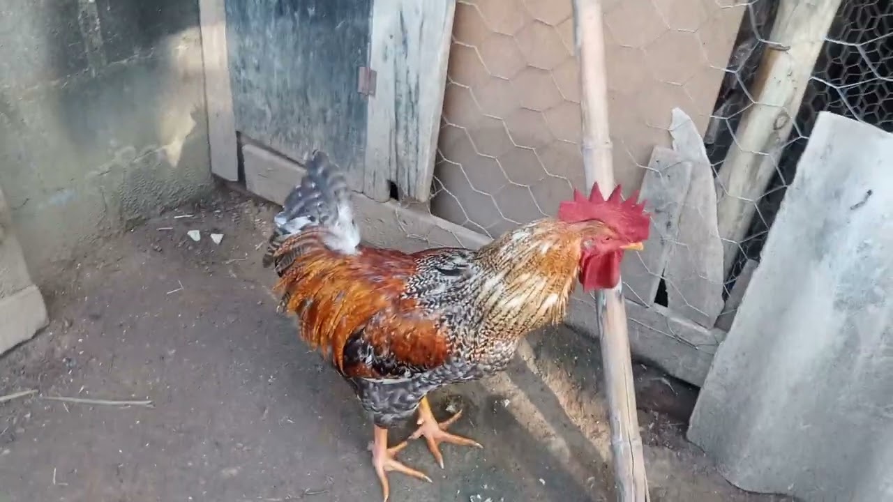 2 de março de 2026