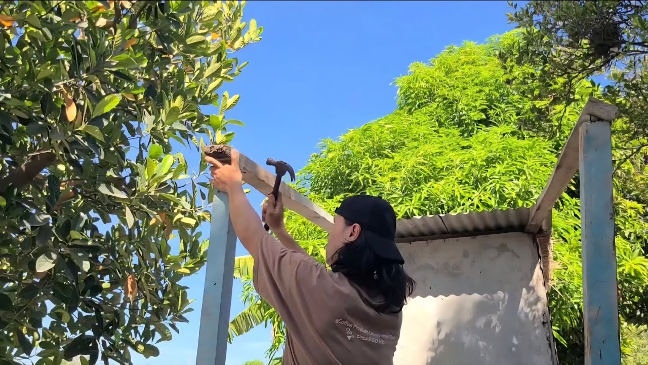 Extension for my pigeon loft 