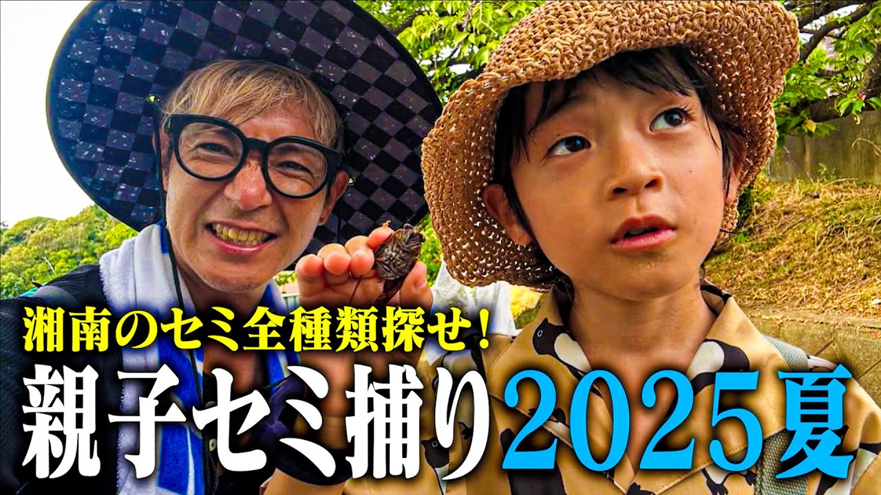 【第107回】親子でセミ捕り２０２５夏〜湘南のセミを全種類探せ！〜【親子の絆】