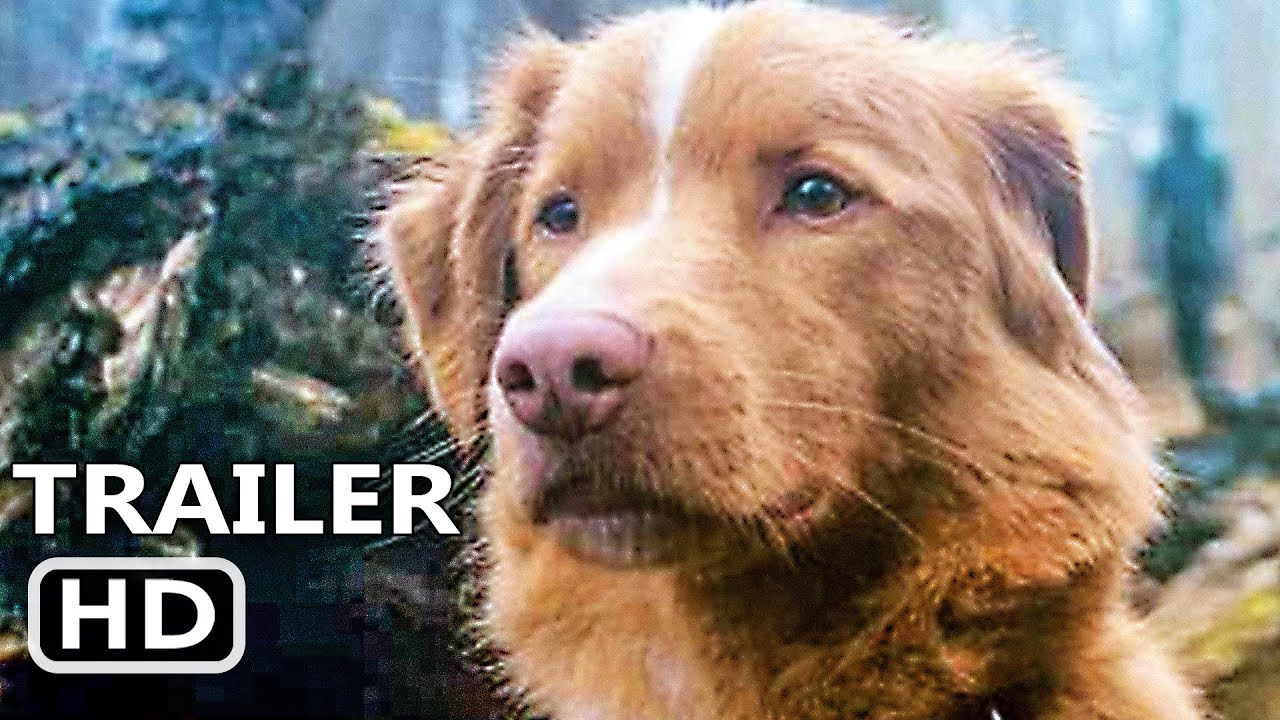 GOOD BOY Trailer 2 (2025)