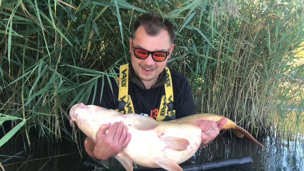 Podzimní monstra Imothep carpbaits