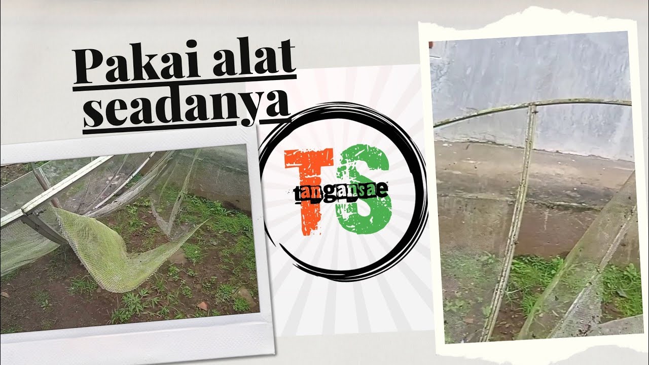 parabola jaring jebol jadi ok lagi