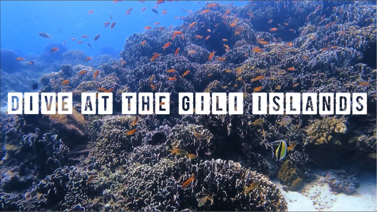 Scuba Dive at Gili Islands