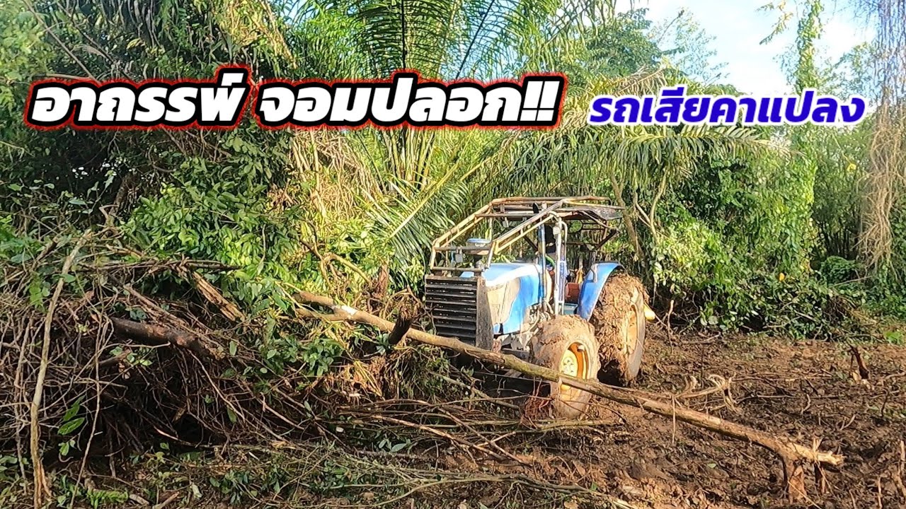 ตัดหญ้าสวนปาล์มอาถรรพ์จอมปลวก!! รถเสียคาแปลง