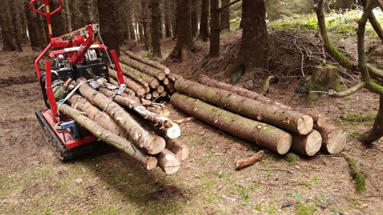 Small Scale Forestry Timber Movement