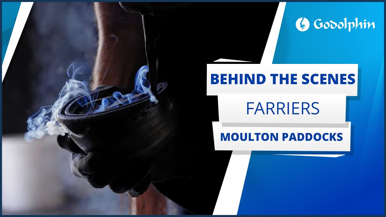 🇬🇧 A day in the life of the farriers team at Moulton Paddocks 🐴