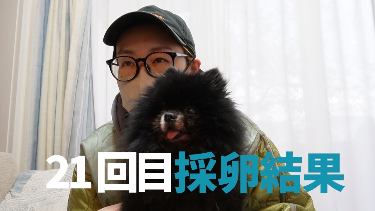 【不妊治療】21回目採卵の結果。3個見えていた卵胞は…/42歳11か月vlog