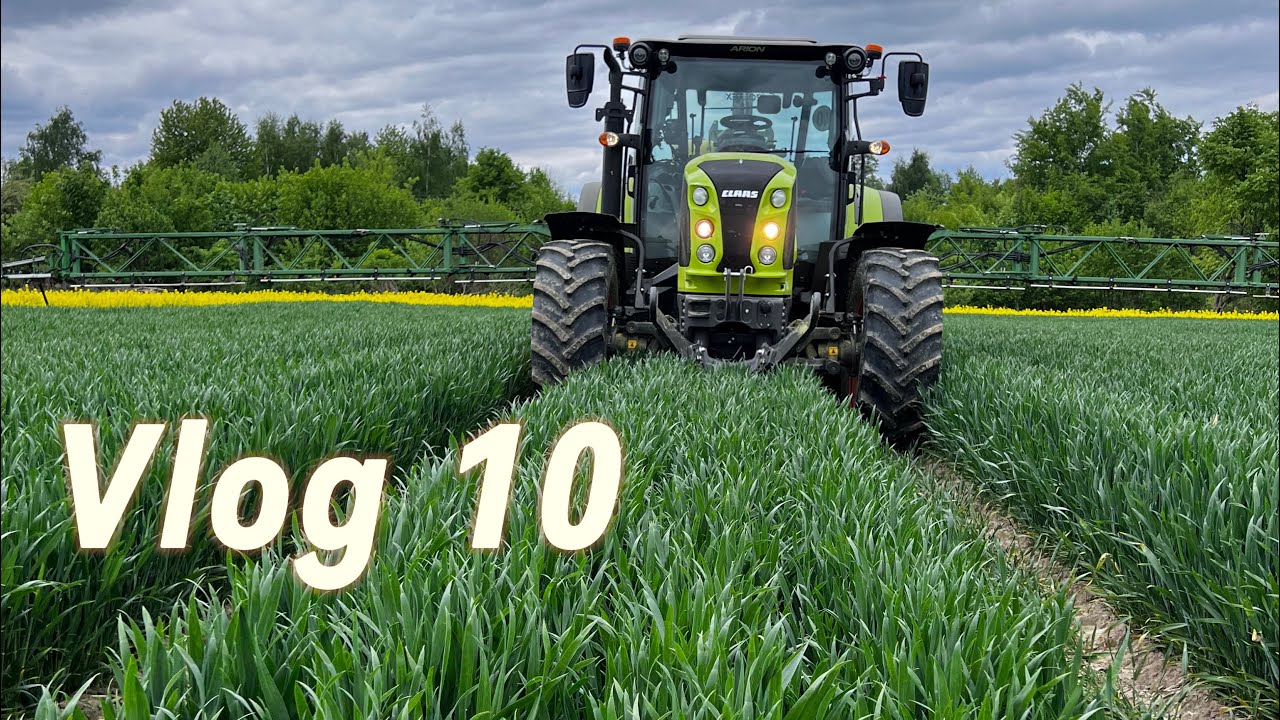 Vlog 10. Zabieg T2 w Pszenicy Avenoue