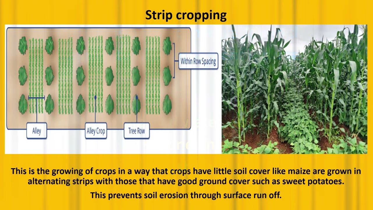 soil conservation for grade 8 CBC agriculture and nutrition