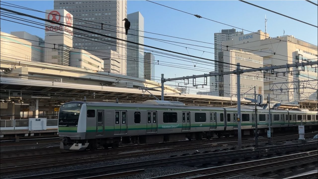 特急成田エクスプレス39号成田空港行きE259系2039MNe001と横浜線各駅停車八王子行きE233系1531KH020、京浜東北線各駅停車大宮行きE233系1536B159！【保土ケ谷駅〜横浜駅】