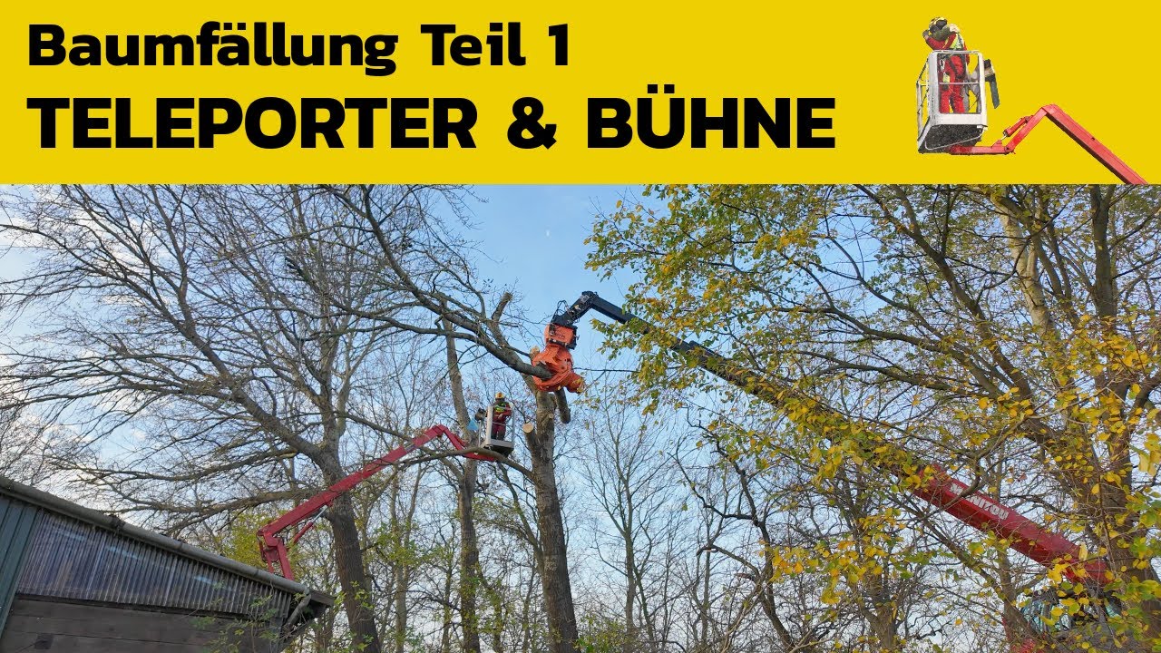 Baumfällung 5 große Pappeln mit Teleskoplader und Bühne
