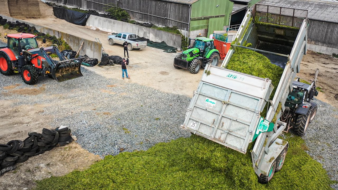 ENSILAGE / SILAGE HERBE / GRASS 2023 chez VALENTIN !🌿