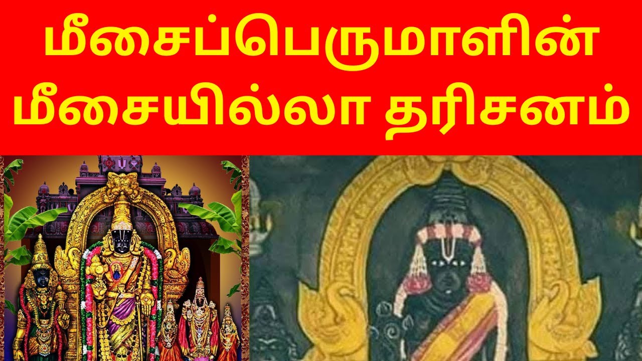 CHENNAI TRIPLICANE PARTHASARATHY TEMPLE DARSHAN EXPERIENCE