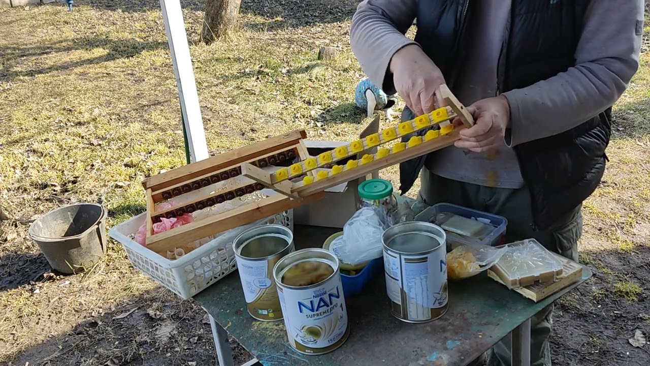 Джентер или никот