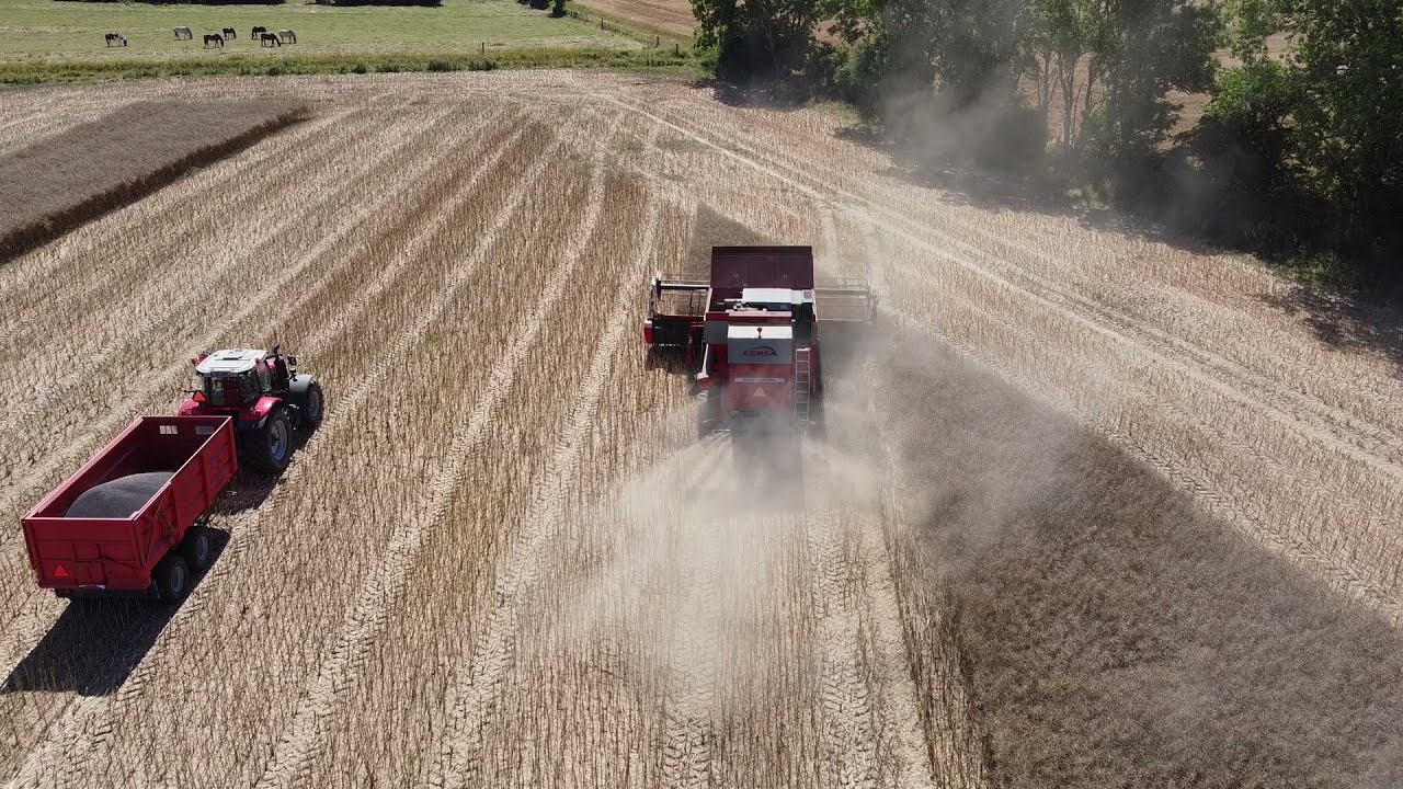Rapshøst 21 Massey Ferguson 7278 cerea