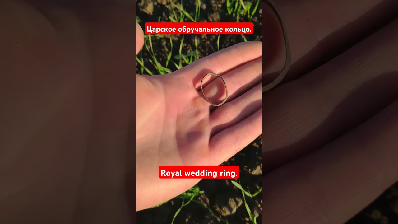 Царское обручальное кольцо.Royal wedding ring.#metaldetecting #history #hobby #ring #royal