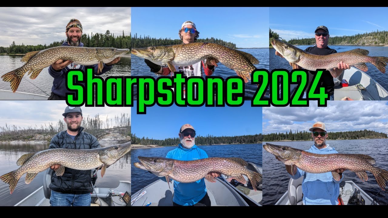 Sharpstone Lake 2024 - Canada Fly-In Fishing Trip