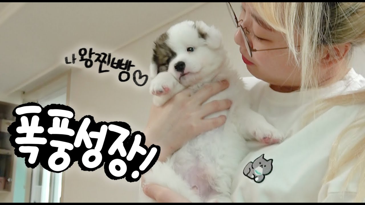 강아지가 너무 빨리 크는데..어쩌면 좋죠..?