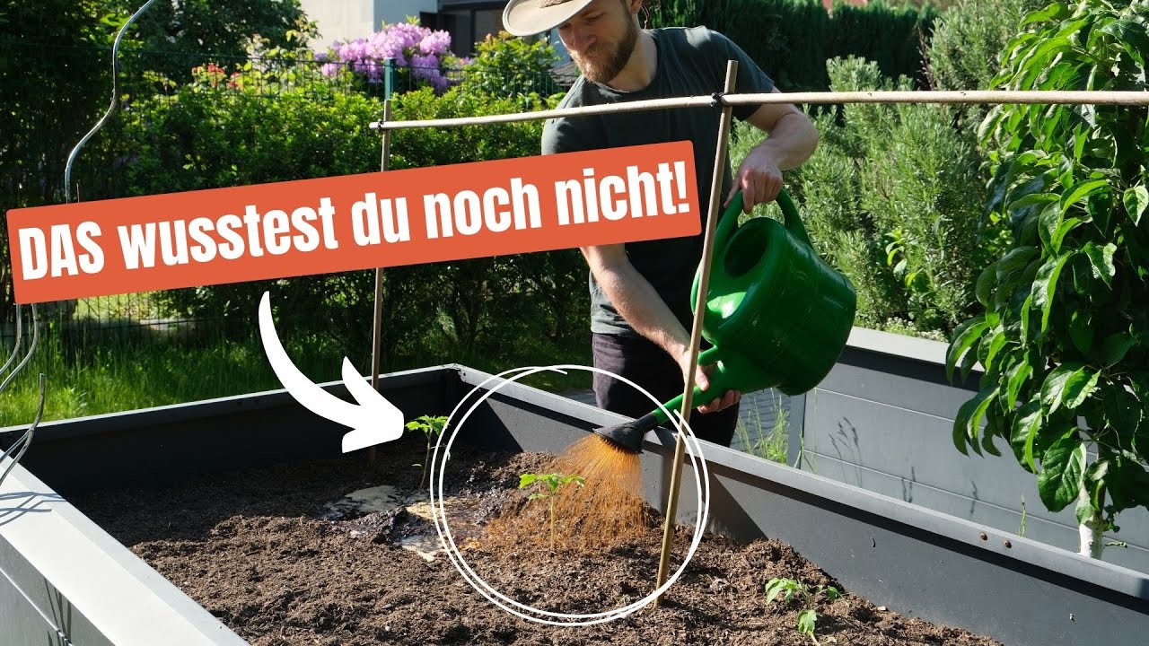 18 Dinge, die du noch NICHT über deinen Garten wusstest 🌱
