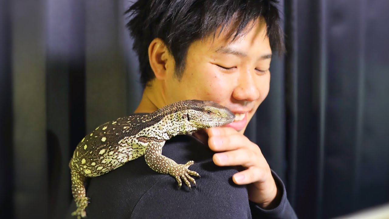 人間嫌いのオオトカゲを飼い始めて半年後・・・