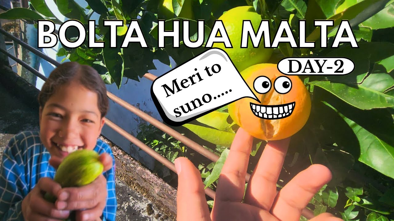 Bolta Hua Malta😱 || Bahut kaam kiya Aaj🤪 #vlog #pahadilifestyle #travel #uttarakhand
