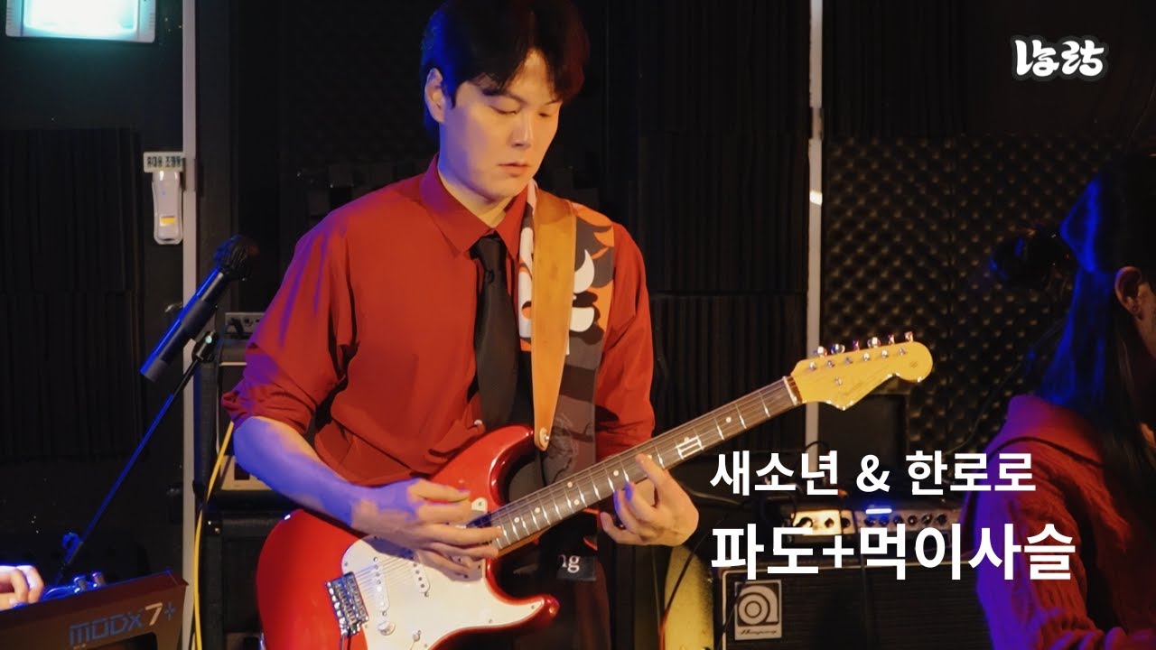 [새소년 & 한로로 - 파도 + 먹이사슬] covered by 낭랑🔥 | 260124 연합공연