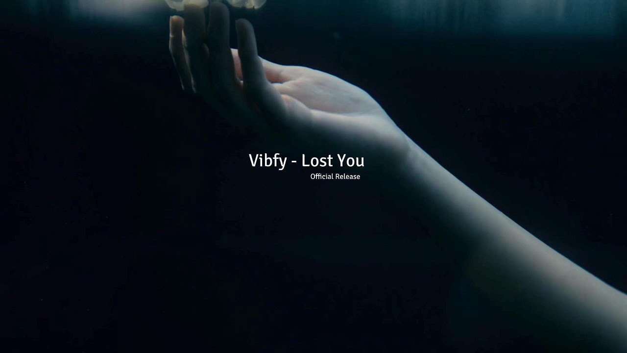 Vibfy - Lost You