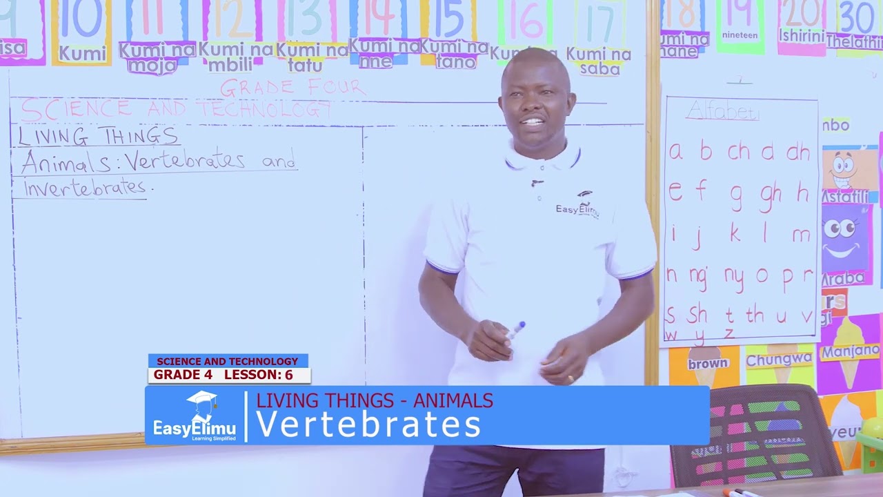 What are vertebrates? | Characteristics of vertebrates | Grade 4 Science and Technology