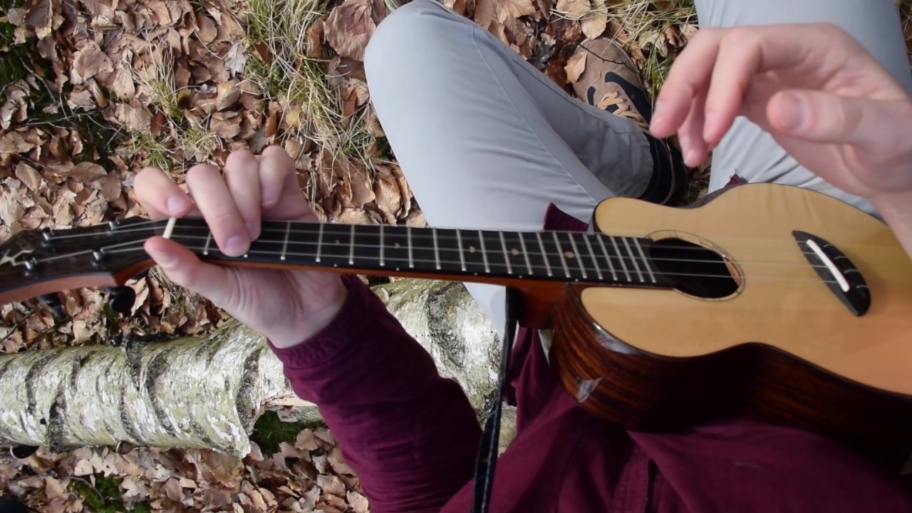 Tobias Elof - Cheri picking (D6-tuning)