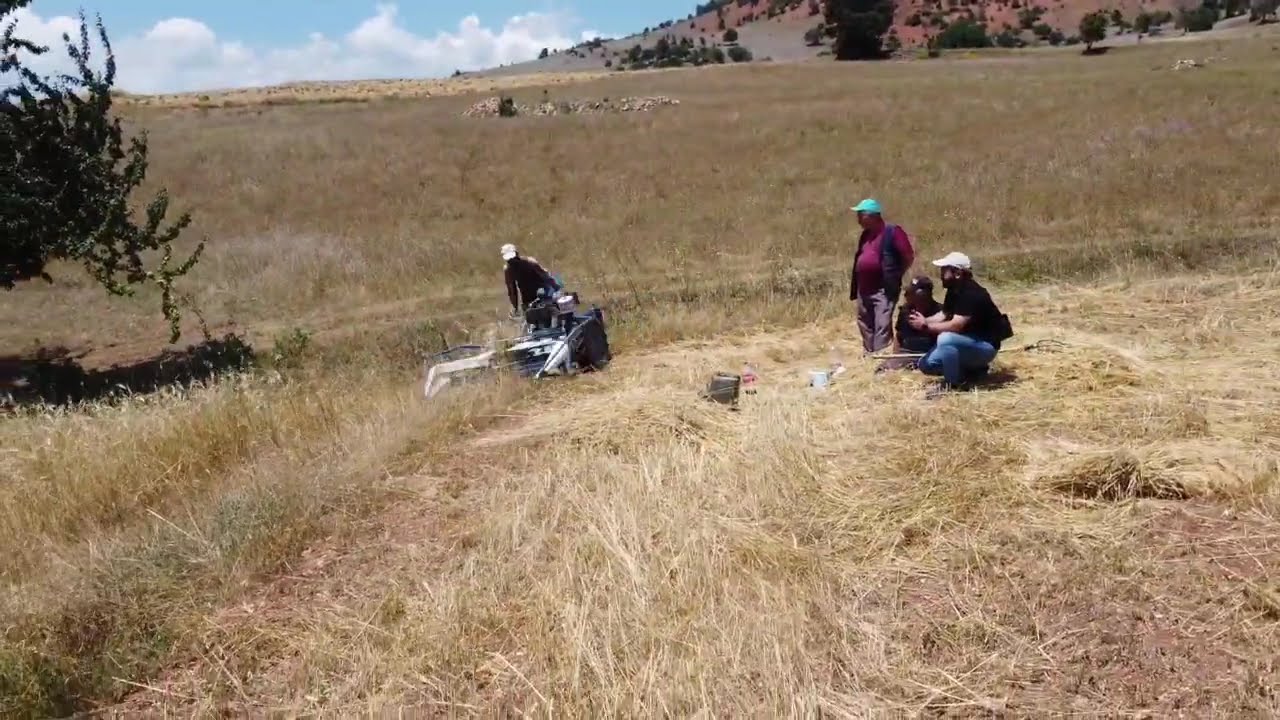 Tokat Reşadiye Nebişeyh Köyü Hasat Zamanı